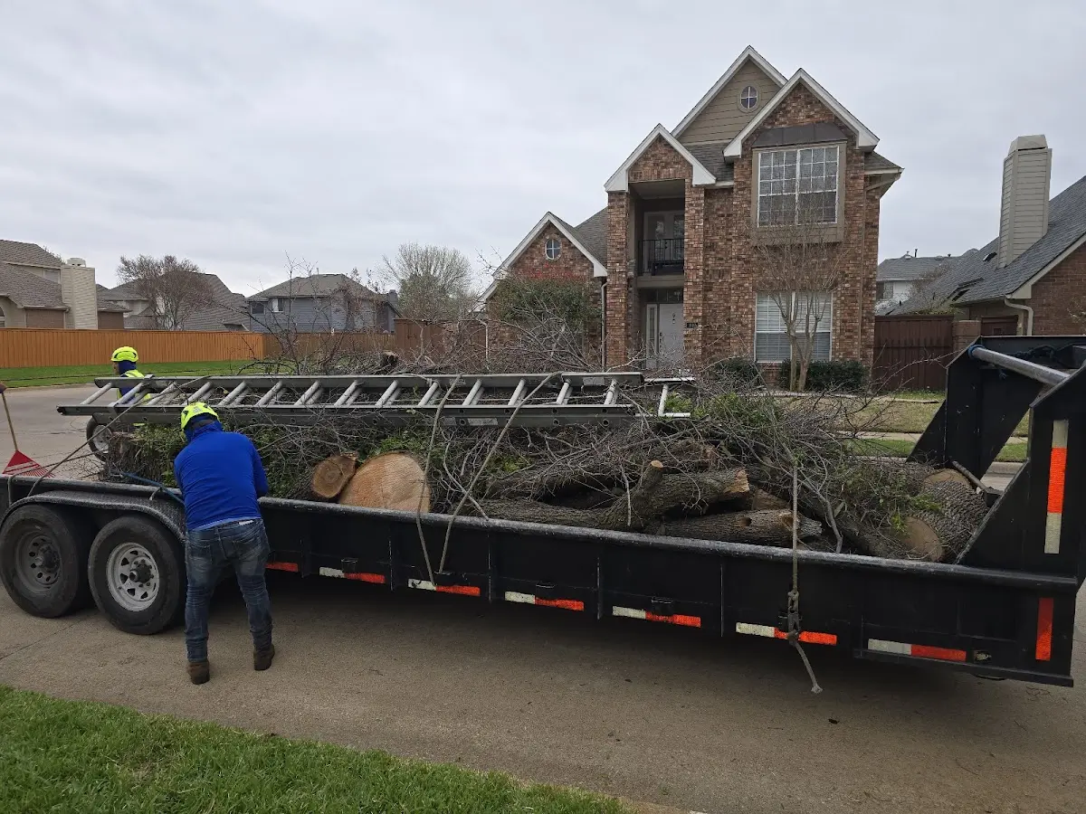 Expert Lot Clearing with proper safety equipment in Rose